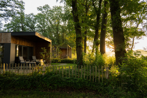 Holiday villa Boslodge 2 with sauna and dog fence at Hofparken Wiltershaar in the Netherlands, peaceful nature.
