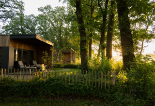 Holiday villa Boslodge 2 with sauna and dog fence at Hofparken Wiltershaar in the Netherlands, peaceful nature.