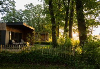 Boslodge 2 med sauna og hundehegn ved Hofparken Wiltershaar i Holland, omgivet af grønne træer.