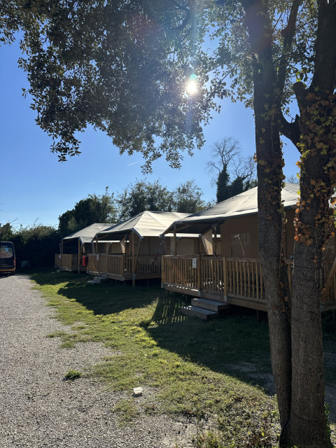 Safari-telte kaldet Cottage ved Vigna sul Mar Family Camping Village i Italien under solskin og træer.