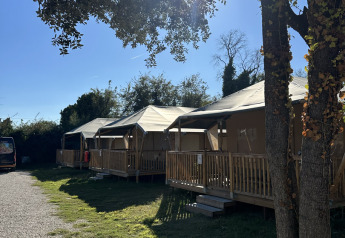 Tentes safari nommées Cottage au Vigna sul Mar Family Camping Village en Italie, sous le soleil et les arbres.