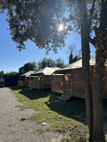 Tiendas safari llamadas Cottage en Vigna sul Mar Family Camping Village en Italia, con sol y árboles.