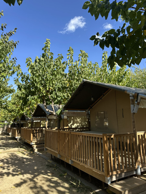 Tende safari presso Villatent Outback con terrazza in legno, circondate da alberi sotto il cielo azzurro.