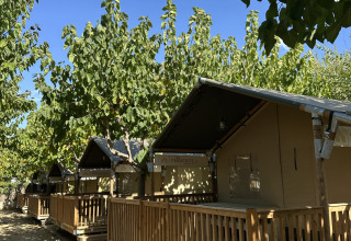 Safaritenten bij Villatent Outback met houten veranda’s, omringd door bomen onder een heldere blauwe hemel.