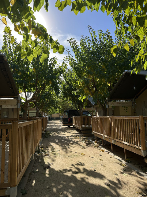 Zonnig pad tussen Villatent Outback safaritenten op Camping La Masia, omgeven door groene bomen.