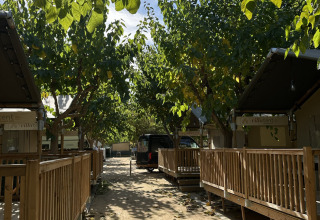 Zonnig pad tussen Villatent Outback safaritenten op Camping La Masia, omgeven door groene bomen.
