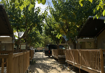 Zonnig pad tussen safari Villatent Outback tenten bij Camping La Masia, omgeven door groene bomen.