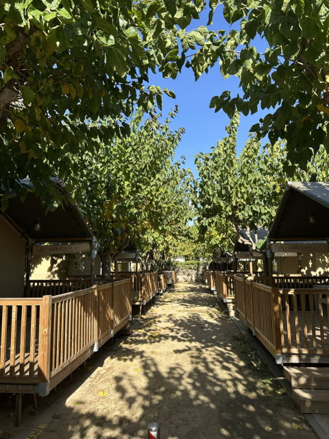 Villatent Outback safaritenten met houten veranda’s, omringd door groene bomen en blauwe lucht erboven.
