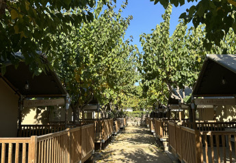 Safaritenten van Villatent Outback met houten terrassen, omringd door groene bomen en een blauwe lucht.