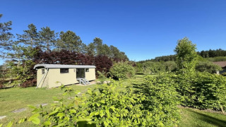 Pine Tree Tiny Cottage, een klein huisje te midden van groen, bomen en een heldere hemel in de zomer.