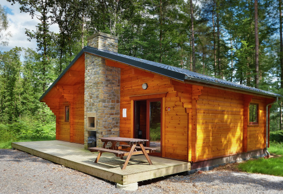 Chalet en bois De Boshut avec cheminée en pierre, terrasse et table de pique-nique dans la forêt.