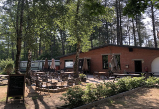 Espace extérieur avec tables et chaises devant un hébergement glamping en forêt, sous le soleil d'été.