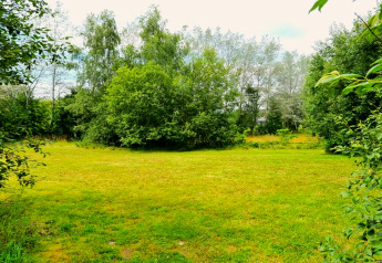 Groen gazon omringd door bomen bij het REEBUS-mobilhome in België op een zonnige dag.