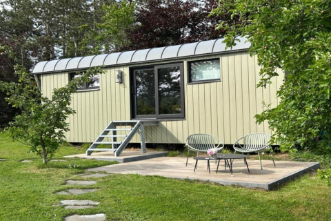 Acogedora tiny house llamada Pine Tree Tiny Cottage en Bélgica, rodeada de árboles y jardín verde.