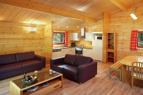 Cozy living room and kitchen inside the chalet «De Boshut» in Belgium, featuring wood decor and modern furnishings.
