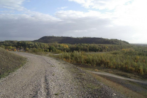 Chemin de gravier serpentant entre collines boisées près du chalet « De Boshut » en Belgique, sous ciel nuageux.