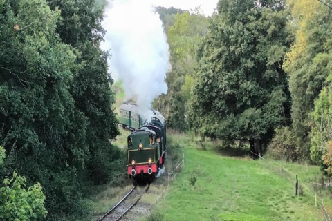 Un train à vapeur traverse une zone verdoyante près d’un hébergement glamping entouré d’arbres.