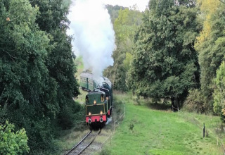 Un train à vapeur traverse une zone verdoyante près d’un hébergement glamping entouré d’arbres.