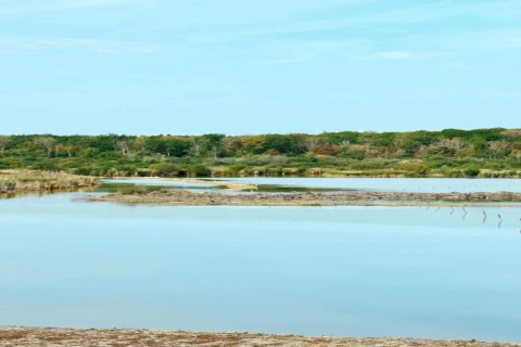 Peaceful view of a calm lake with sandbanks and greenery, seen from a glamping accommodation outdoors.