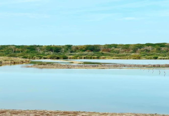 Peaceful view of a calm lake with sandbanks and greenery, seen from a glamping accommodation outdoors.