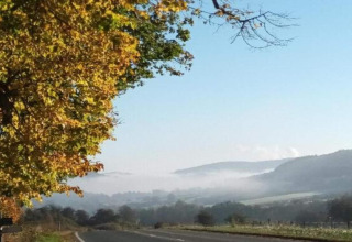 Vue d’un glamping sur une route calme, arbres d’automne, collines et brume matinale dans la vallée.