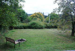 A view from a glamping accommodation showing a grassy yard, bench by a fire pit, and lush trees.