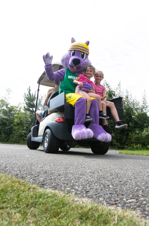 Animation, Rheezerwold, Heemserveen, Overijssel, Niederlande