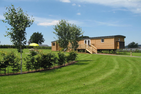La roulotte des Ardennes, un lodge in legno con terrazza, prato verde e alberi sotto un cielo sereno.