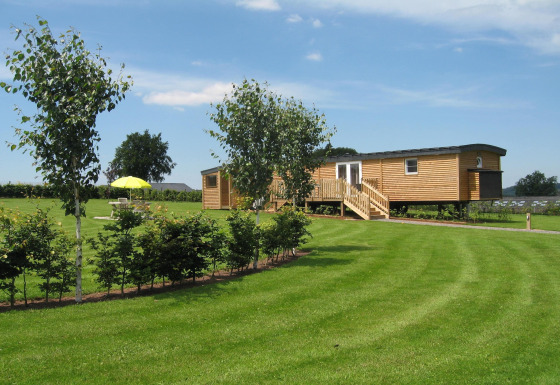 La roulotte des Ardennes, un lodge in legno con terrazza, prato verde e alberi sotto un cielo sereno.