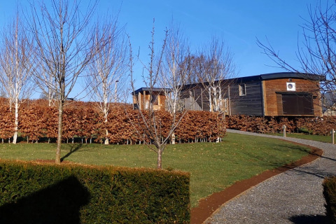 Lodge in legno a La roulotte des Ardennes in Belgio, circondata da betulle e siepi in una giornata di sole.