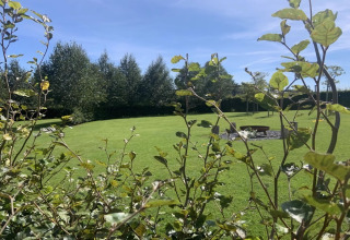 Giardino soleggiato con focolare presso La roulotte des Ardennes Lodge in Belgio, alberi sullo sfondo.