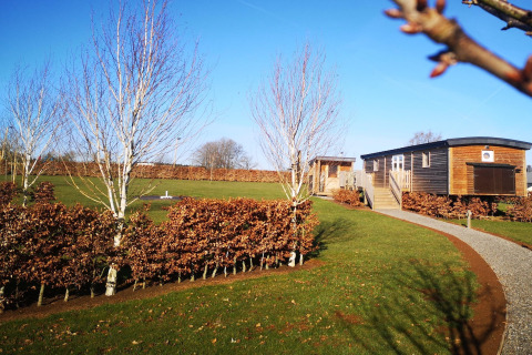 Immagine soleggiata della lodge La roulotte des Ardennes in Belgio con prato, alberi e vialetto.