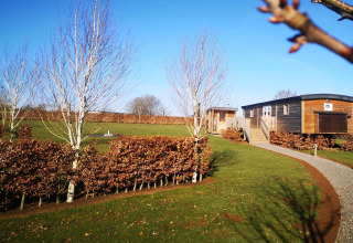 Immagine soleggiata della lodge La roulotte des Ardennes in Belgio con prato, alberi e vialetto.
