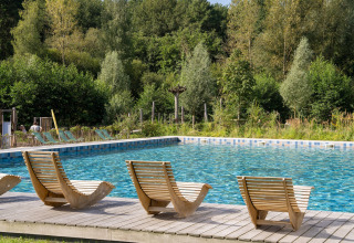 Scenic outdoor swimming pool with unique wooden loungers, nestled in lush greenery at a glamping site.