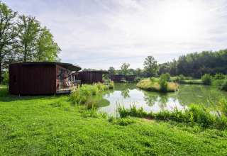 Moderne houten lodges aan een vijver, omgeven door groene vegetatie en bomen op een rustige locatie.