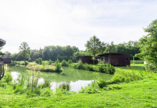 Glampingaccommodatie met moderne huisjes aan een vijver, omgeven door weelderig groen en bomen.