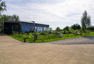 Modern glamping accommodation featuring a large glass building, green lawn, and trees on a sunny day.