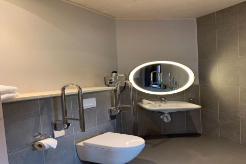 Rolstoeltoegankelijke badkamer met hangend toilet, beugels, wastafel en verlicht spiegel bij The Large Leaf by YourNature.