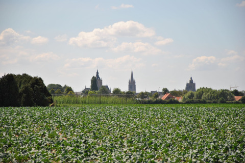 Uitzicht over een groen veld naar een dorp met kerkspitsen, gezien vanuit Breeduyn Village 3 in België.