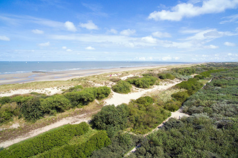 Uitzicht op het strand en de duinen bij Breeduyn Village 3 in België, met groene struiken en blauwe lucht.