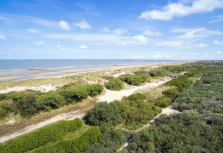 Uitzicht op het strand en de duinen bij Breeduyn Village 3 in België, met groene struiken en blauwe lucht.