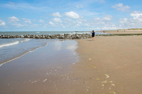 Strandzicht bij Breeduyn Village 3 in België met persoon, meeuwen, zand en zee op een zonnige dag.
