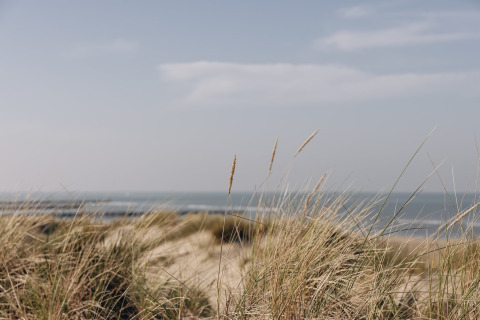 Uitzicht vanaf Breeduyn Village 3 in België: grasduinen bij het strand, zee en blauwe lucht.