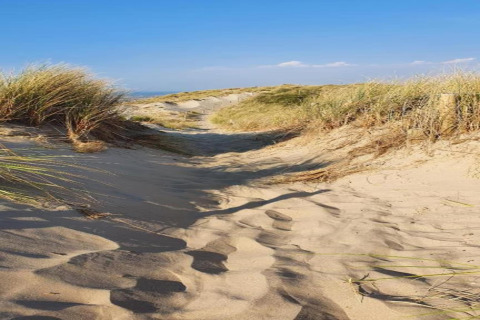 Zandpad tussen grasduinen bij Breeduyn Village 3, een lodge in België onder een blauwe lucht.