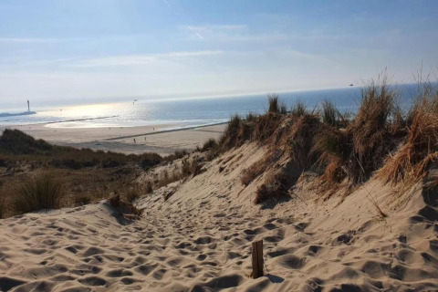 Uitzicht op strand, duinen en zee vanaf Breeduyn Village 3 lodge in België op een zonnige dag.
