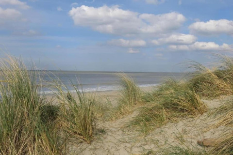 Uitzicht op het strand bij Breeduyn Village 3 in België met zandduinen, gras en een deels bewolkte lucht.