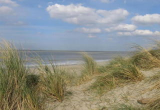 Uitzicht op het strand bij Breeduyn Village 3 in België met zandduinen, gras en een deels bewolkte lucht.
