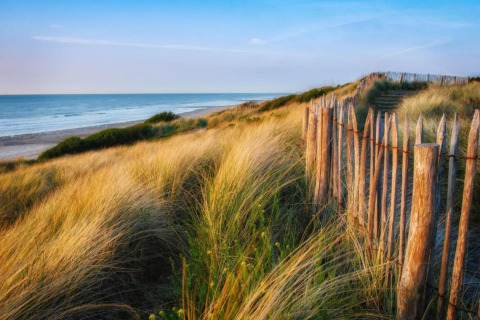 Zandduinen met houten hekwerk bij Breeduyn Village 3 lodge aan de Belgische kust bij zonsondergang.