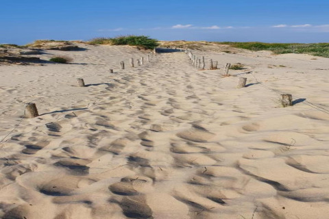 Zandpad bij Breeduyn Village 3 in België, omgeven door duinen, blauwe lucht op een zonnige dag.