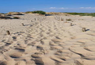 Zandpad bij Breeduyn Village 3 in België, omgeven door duinen, blauwe lucht op een zonnige dag.